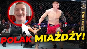 Polak miażdży. Amerykański sen trwa