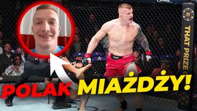 Polak miażdży. Amerykański sen trwa