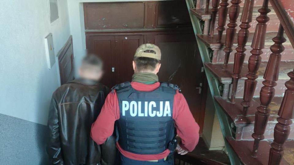 zdjęcie