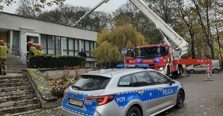 Znieważenie flagi i wtargnięcie do urzędu, czyli Święto Niepodległości w Chorzowie