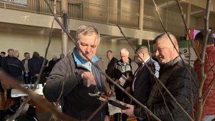 Samborzec: 34. Spotkania Sadownicze. Stoiska, wykłady i prezentacje