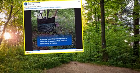 Znaleźli klatkę z martwym psem. "Trwają badania naukowe"