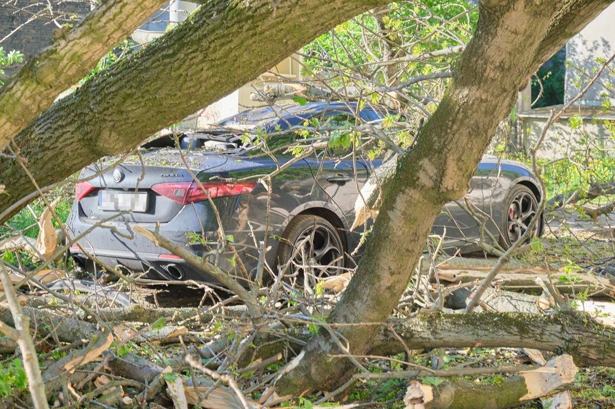 Powalone drzewo spadło na samochód na ul. Misjonarskiej