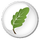 Gaia Family Tree ikona