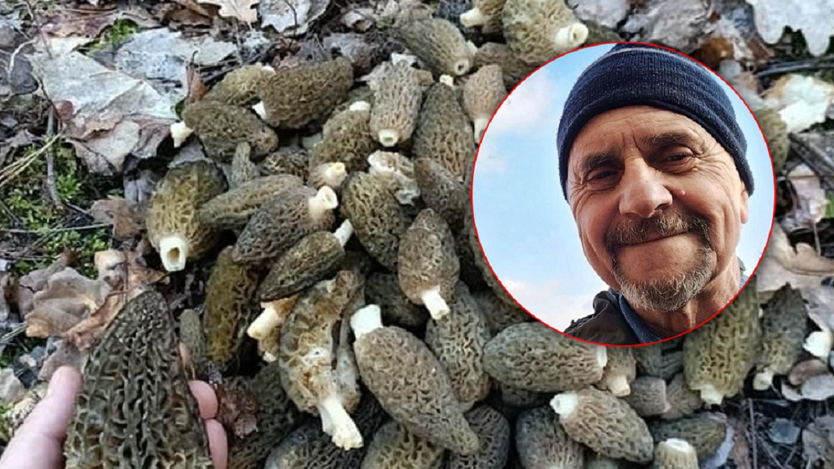 Justyn Kołek mówi o smardzach. Gdzie ich szukać?