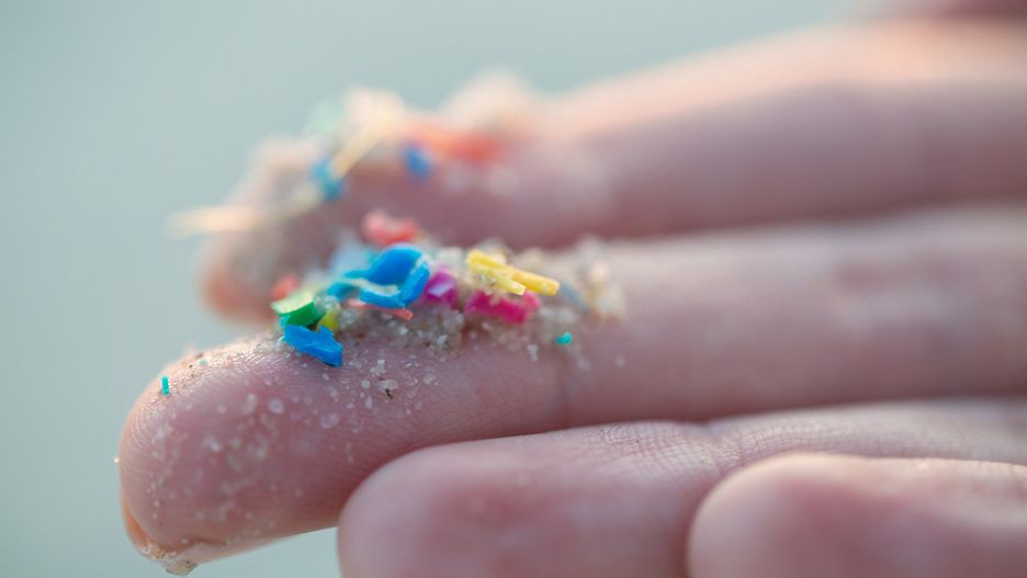 Researcher holding small pieces of micro plastic pollution washed up on a beach