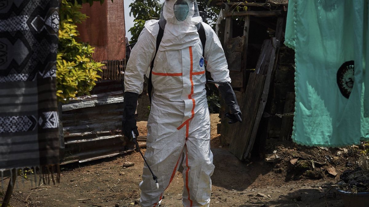 Wirus Nipah to jeden z z najbardziej śmiertelnych patogenów. 