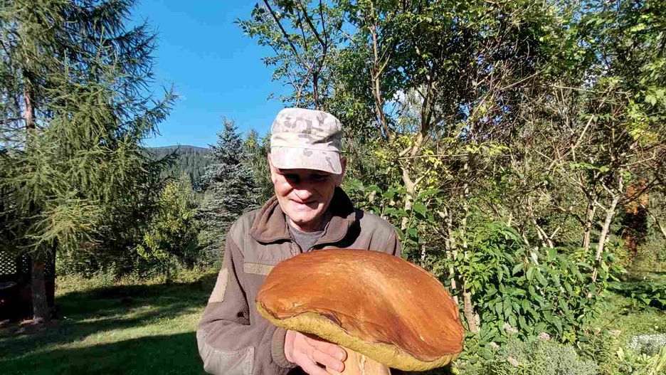 Borowik znaleziony w Karpackim Parku Narodowym ważył 3 kg