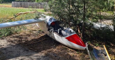 Szybowiec awaryjnie lądował na polu. Pilot uderzył w drzewo