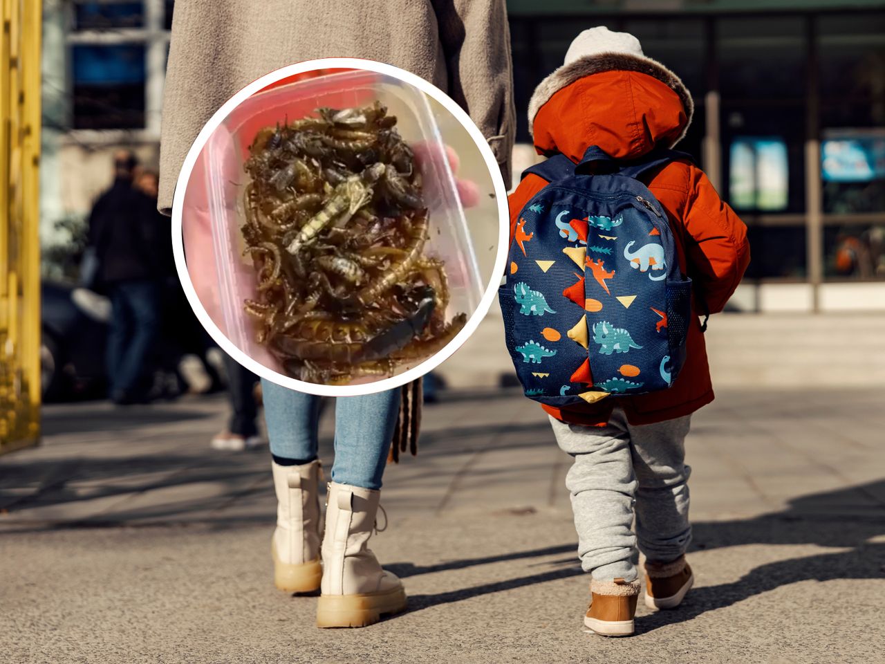 Na przedszkole spadła fala hejtu. Powód? Jedzenie robaków