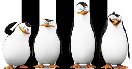 "Pingwiny z Madagaskaru" na DVD