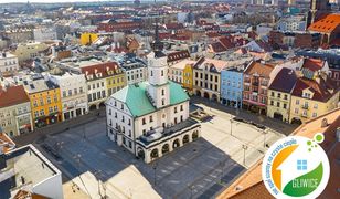 Gliwice. Miasto ma nowy pomysł na walkę ze smogiem