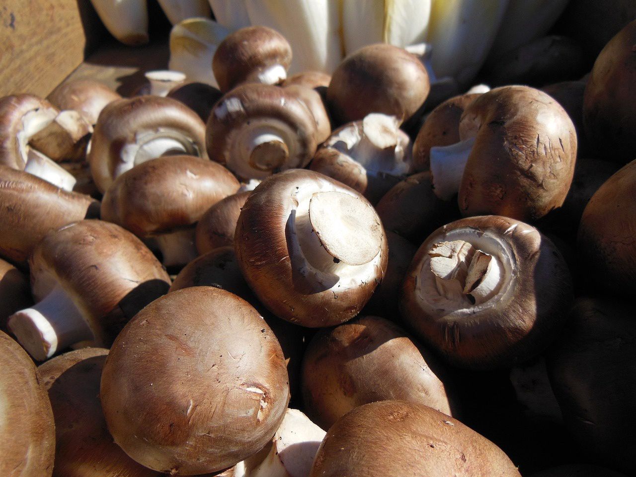 Brown mushrooms - Delicacies