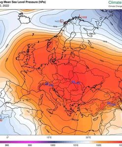 Prognoza pogody dla Polski. Czeka nas fantastyczna pogoda, a potem uderzy dynamiczne ochłodzenie