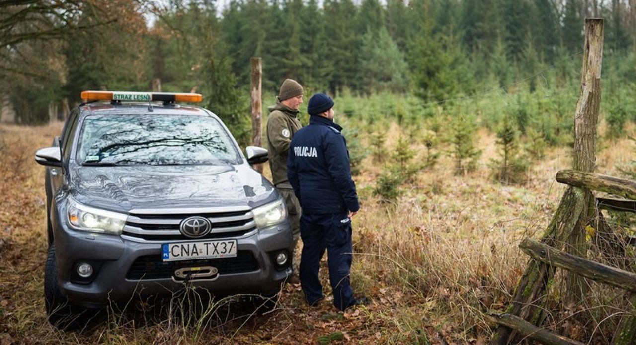"Po raz pierwszy od lat". Leśnicy przekazali smutne wieści