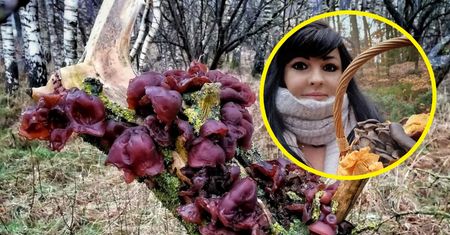Tych grzybów jest teraz w lasach pełno. Pani Ewa tłumaczy gdzie ich szukać