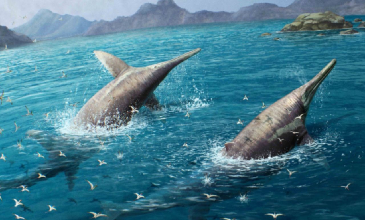 Father-daughter duo uncover jaw of Earth's largest marine reptile