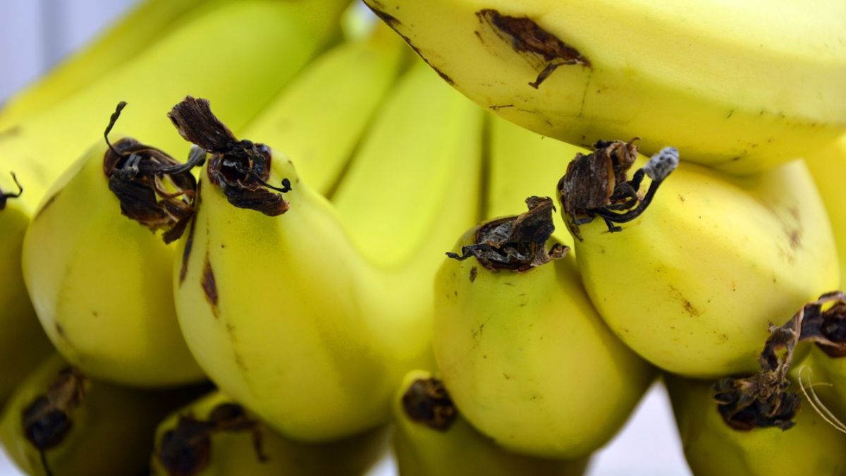 Czy jedzenie bananów zimą szkodzi?