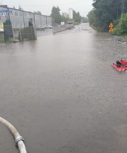 Śląskie. Niebezpieczna pogoda, interwencje strażaków