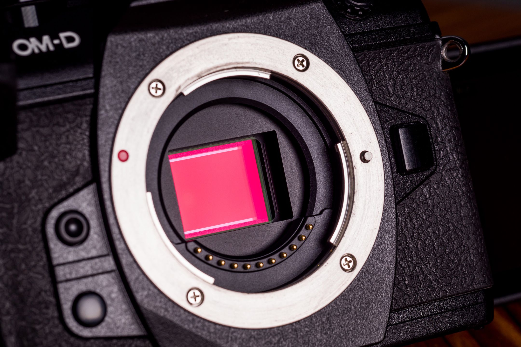 Olympus OM-D E-M1 Mark II - najszybszy na rynku [test] 55