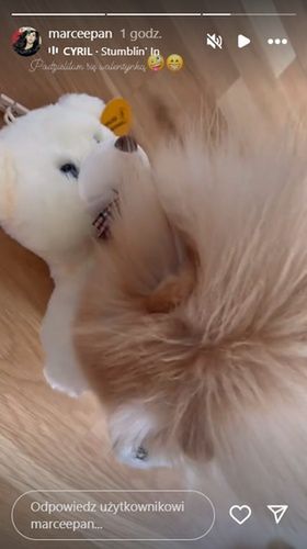 Marcelina Ziętek / InstaStories