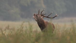 Już się zaczęło. Turyści są przerażeni, kiedy to słyszą