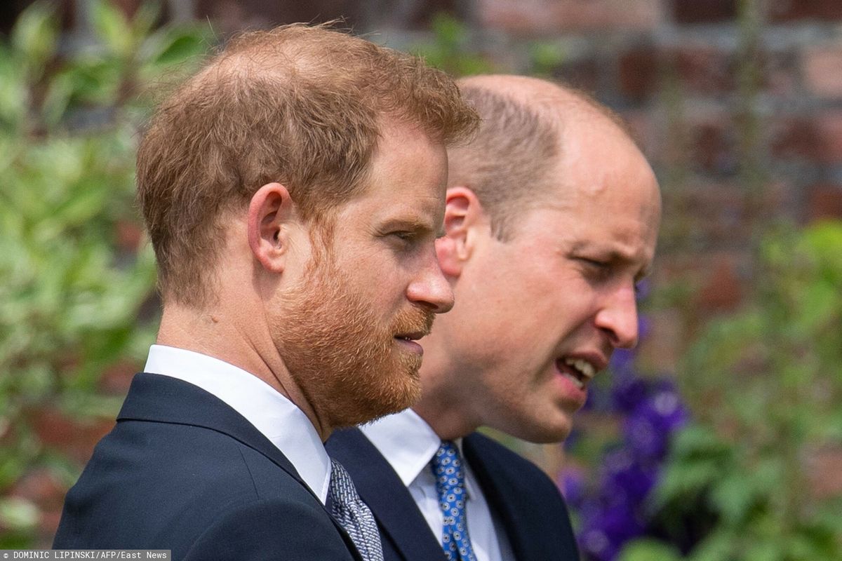 William i Harry spotkali się w 2021 r. na odsłonięciu pomnika księżnej Diany