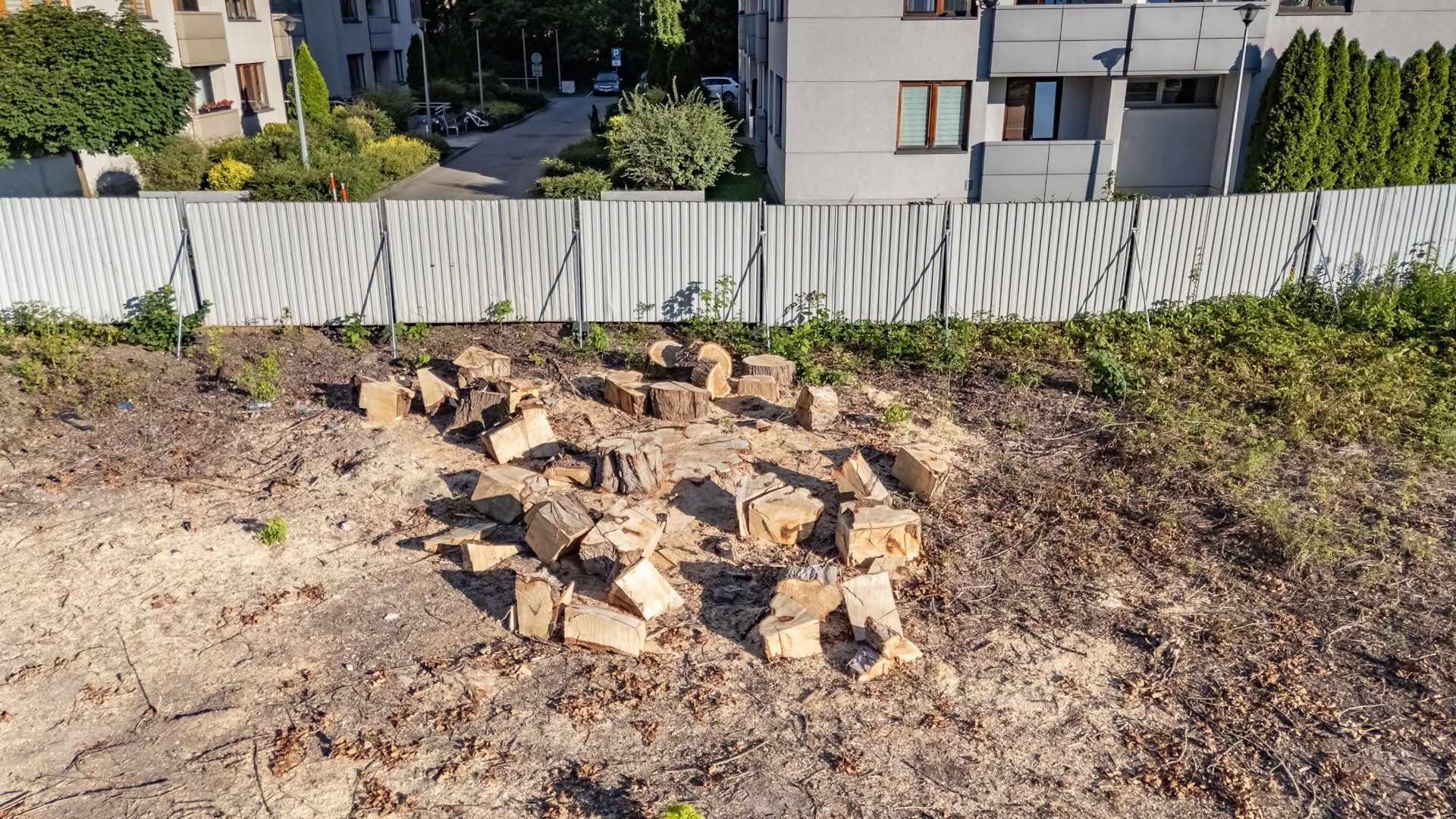 Działki gdzie wycięto drzewa u zbiegu Dąbskiej i Lema
