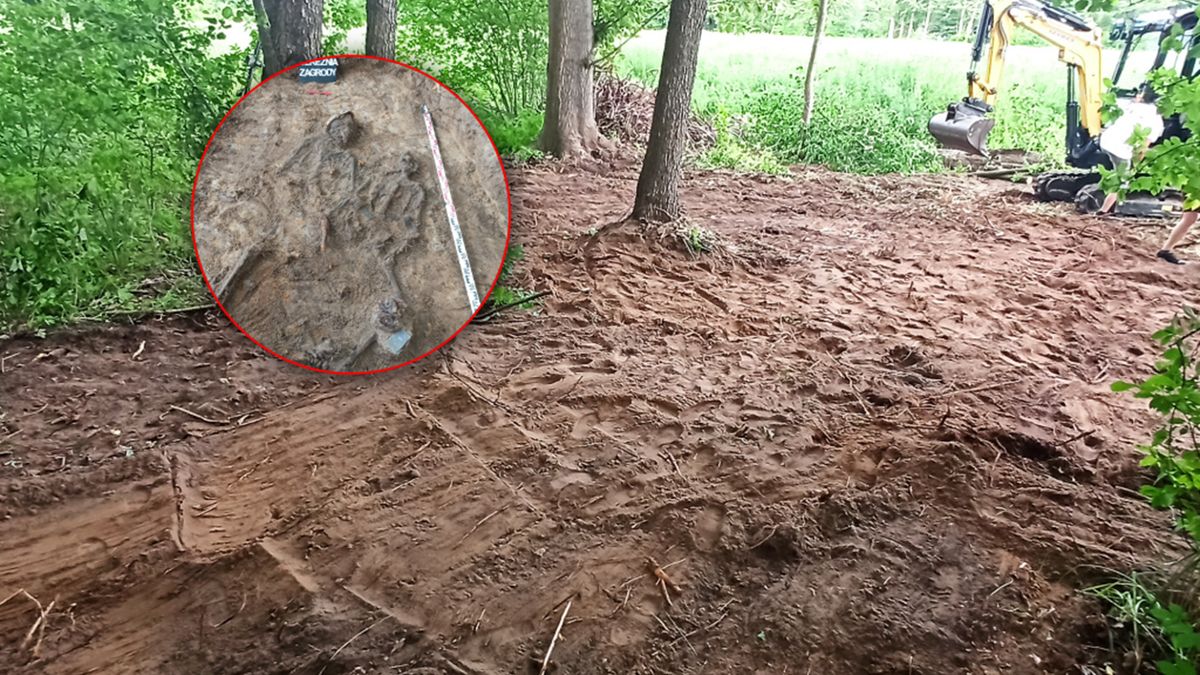 Szczątki niemieckich żołnierzy w Polsce.