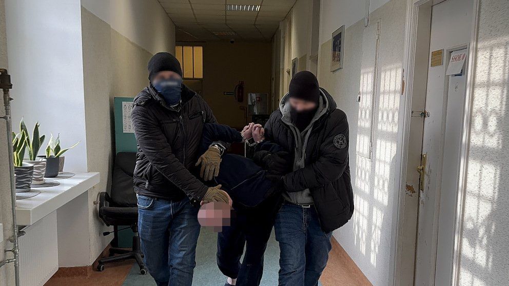 policja