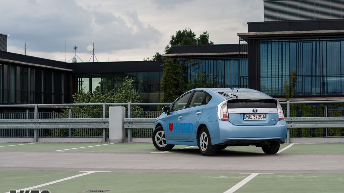 Zdjęcie ilustracyjne do artykułu