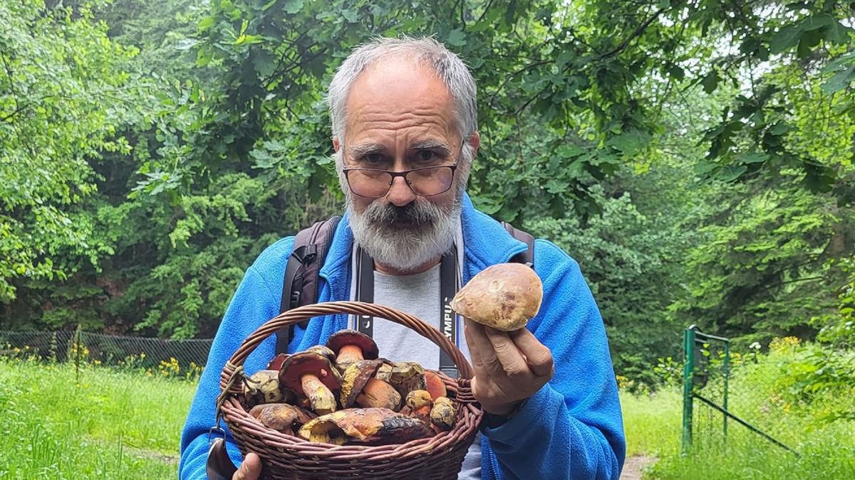 Takie borowiki Kamiński zbierał przed rokiem.