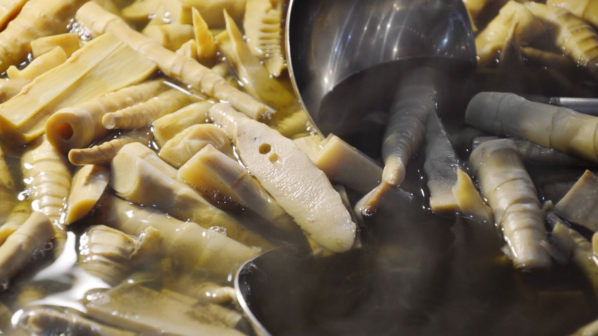 Pędy bambusa są bogatym źródłem polifenoli i błonnika