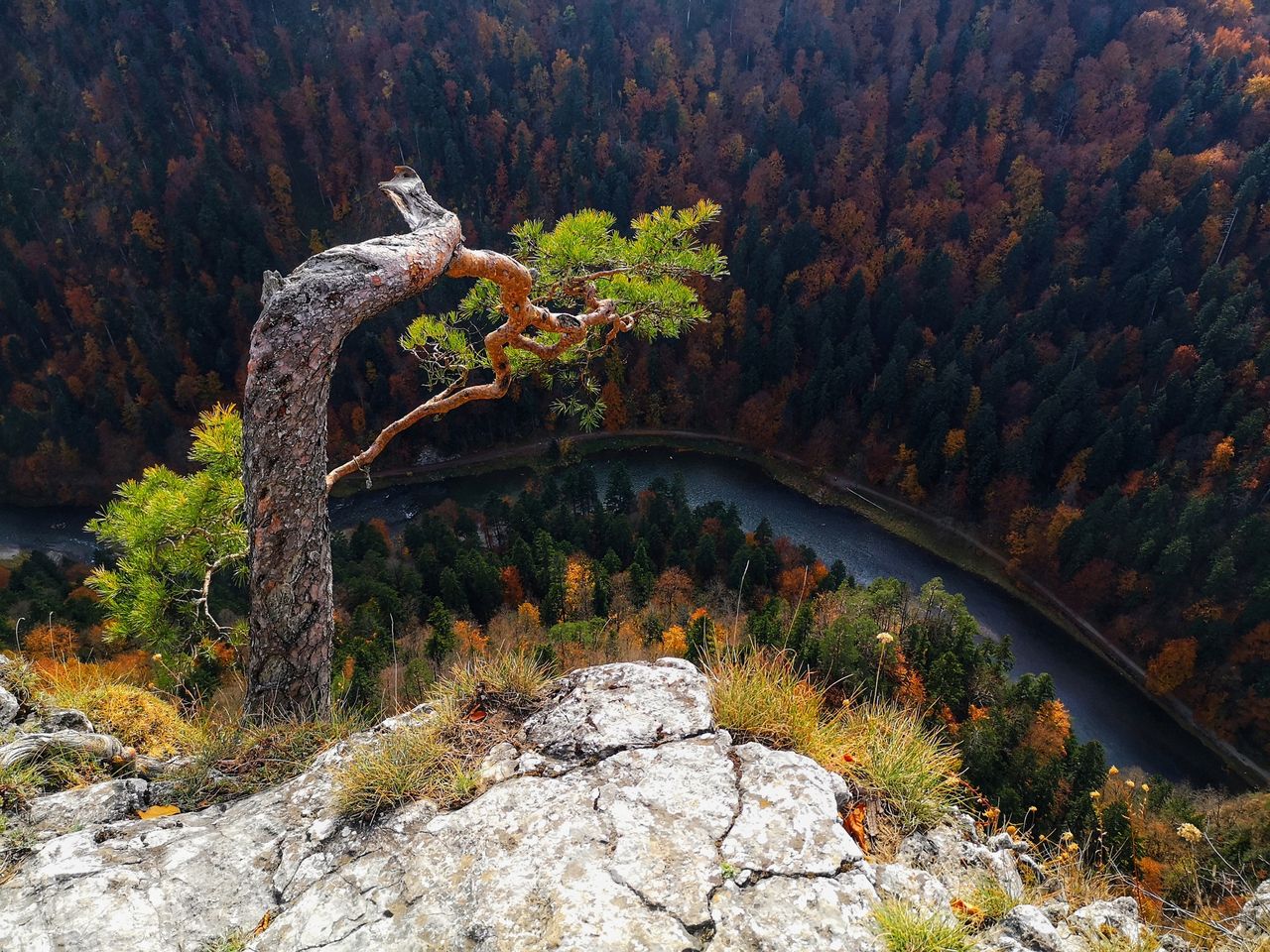 GOPR apeluje do turystów. Schodzenie ze szlaków grozi śmiercią