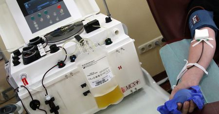 Koronawirus. Bliscy zakażonych proszą o oddawanie osocza. Ogłaszają się w sieci