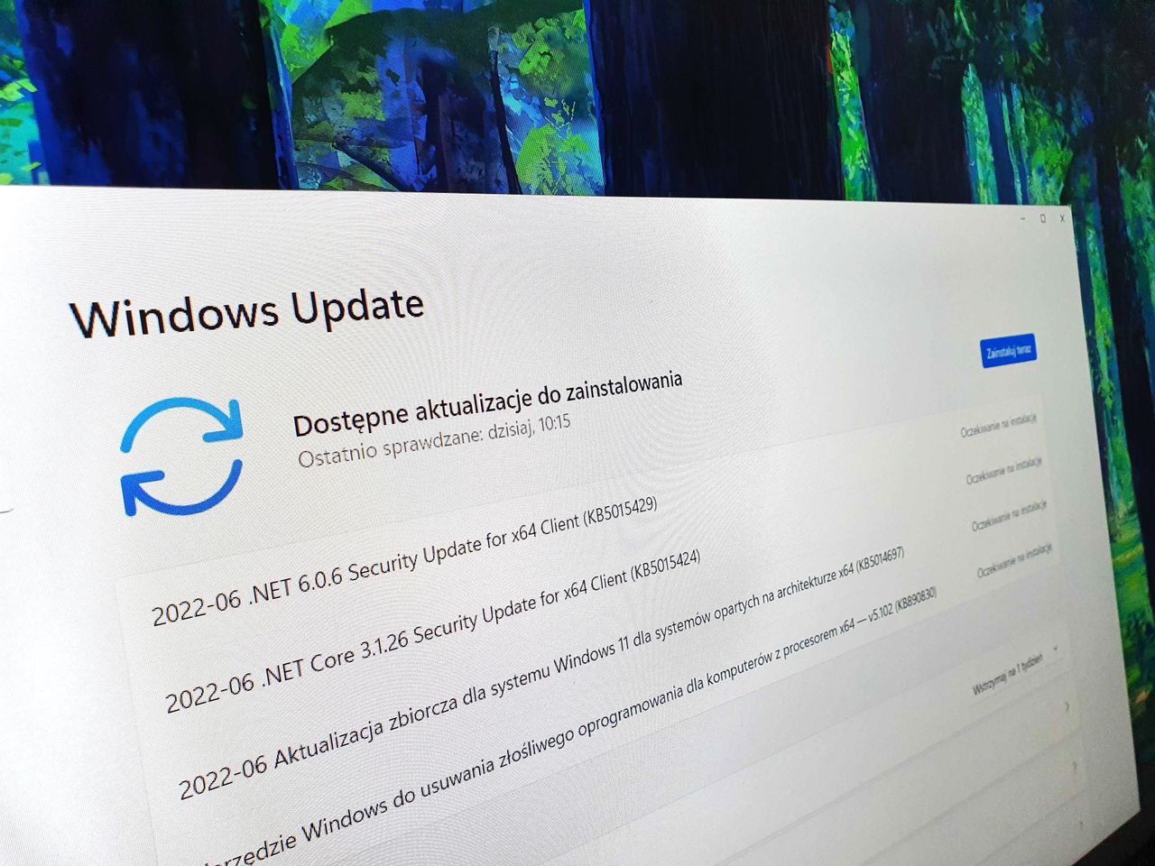 Windows 11 dostał aktualizację. Jest sporo poprawek i ulepszeń - Windows Update w Windows 11