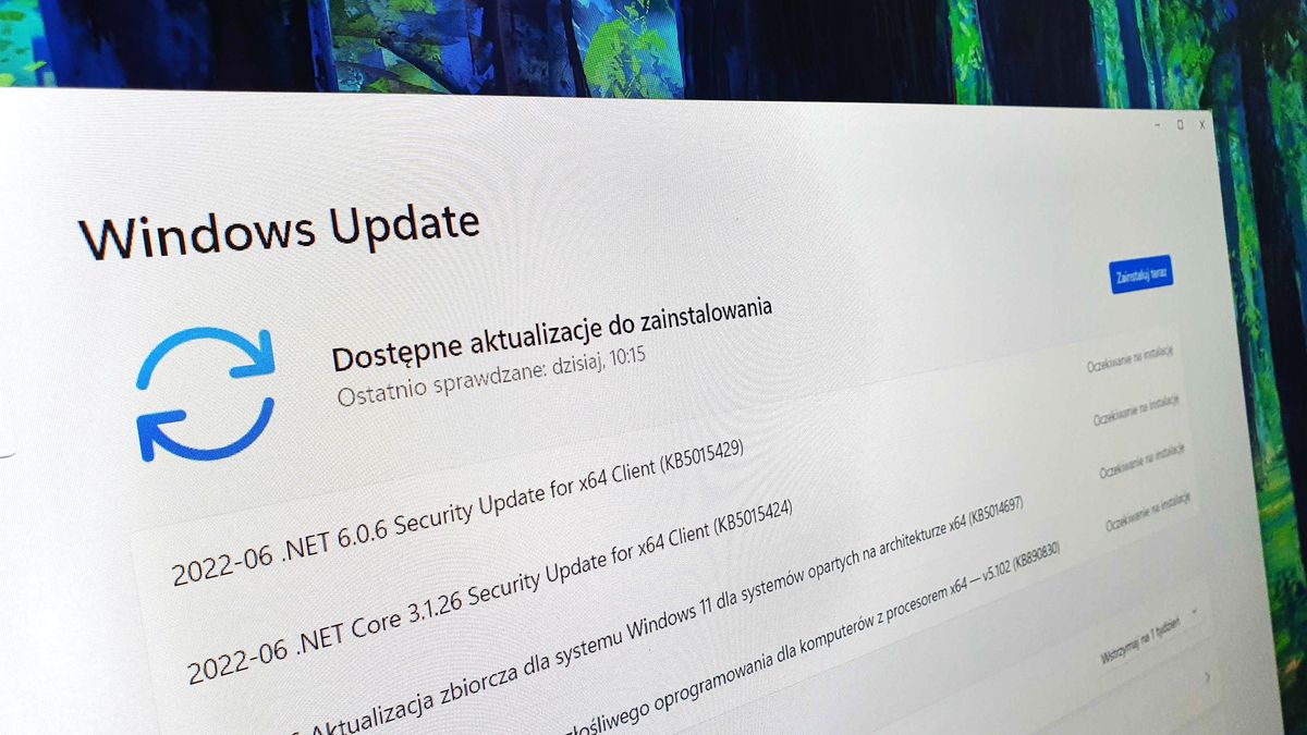 Windows Update w Windows 11