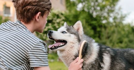 Kiedy linienie może sygnalizować chorobę twojego zwierzaka? Nie ignoruj tych sygnałów