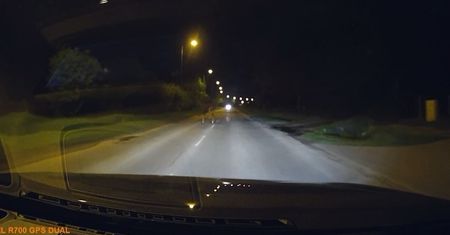 Nocny spacer łosia po ulicach Lublina. „Nagle wychodzi wielkie zwierze”