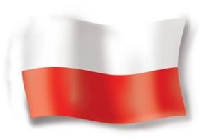 Rynek telekomunikacyjny w Polsce w 2008 roku - raport
