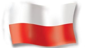 Rynek telekomunikacyjny w Polsce w 2008 roku - raport 1