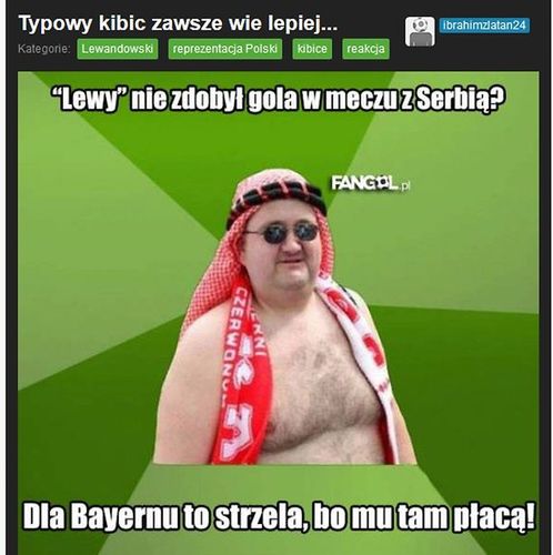 Fot. fangol.pl