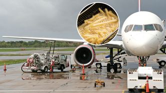 Zużyty olej do smażenia frytek na wagę złota. Produkują z niego paliwo do samolotów