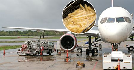Zużyty olej do smażenia frytek na wagę złota. Produkują z niego paliwo do samolotów