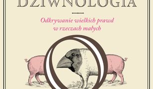 Dziwnologia. Odkrywanie wielkich prawd w rzeczach małych