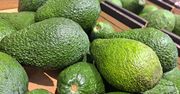 Jak wybrać najlepsze awokado w sklepie? Wystarczy zrobić prostą rzecz