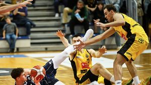 Popis Dzików w Sopocie. "Cały czas rośniemy"