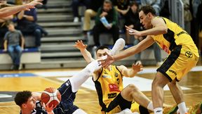Popis Dzików w Sopocie. "Cały czas rośniemy"