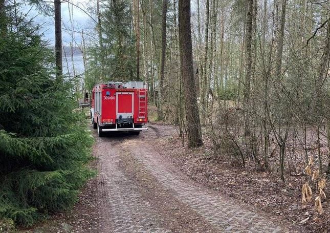Makabryczny wypadek. 35-latek stracił życie podczas przycinania drzew