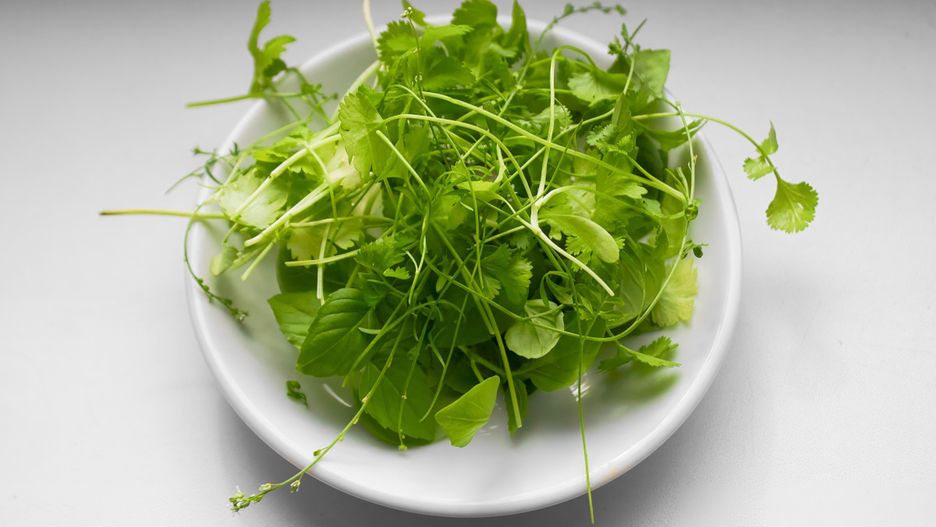 Jakie zioła siać we wrześniu?